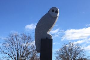 Giant_Owl_Belconnen El Gran Búho en Macquarie, Australia 2
